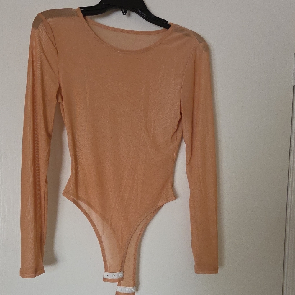 Sheer Long-Sleeve Mesh Bodysuit in Nude
